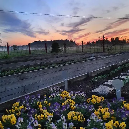 Hotel Hirvihaaran Kartano