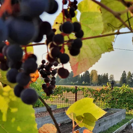 Hotel Hirvihaaran Kartano 3*